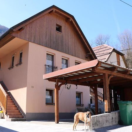 Apartma Na Vasi Apartment Zaga Luaran gambar
