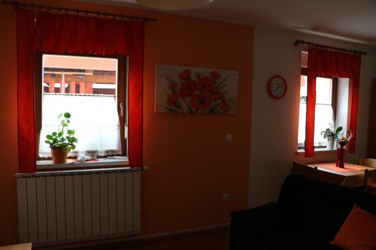 Apartma Na Vasi Apartment Zaga Luaran gambar